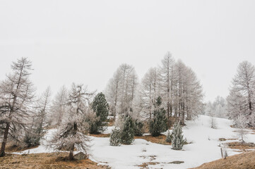 Julierpass, Passstrasse, Bergstrasse, Strassendienst, Passhöhe, Engadin, Alpen, Winter, Winterwanderweg, Wintersport, Morgennebel, Graubünden, Schweiz