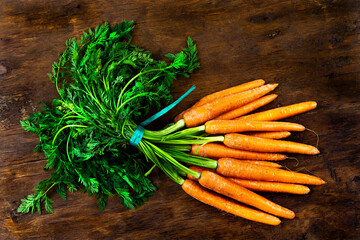 Fresh organic carrots with fane carrots bunch on rustic wooden background