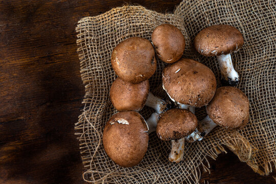 White mushrooms, Paris mushrooms, champignon on brown and brown wooden background and texture.