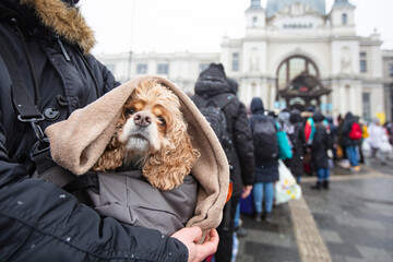 Ukrainian refugees on Lviv railway station waiting for train to escape to Europe