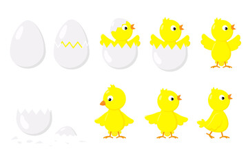 Appearance of a newborn chicken from an egg. Chicken hatching stages. Cute cartoon baby bird. Color vector illustration.