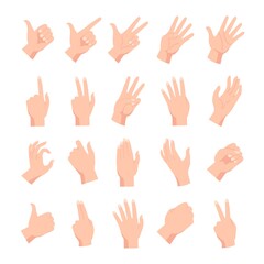 Cartoon human female or male hands poses and gestures. Hand holding, pointing, fist, peace and open palm expression. Arm position vector set