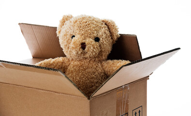 Single teddy bear in cardboard box