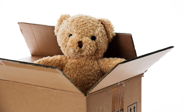 Naklejki Single teddy bear in cardboard box