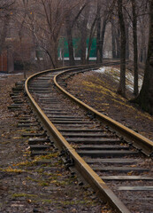 Fototapeta premium railway in the woods