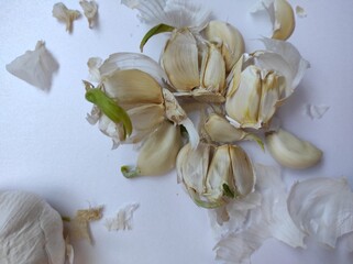 garlic cloves on grey background 