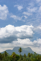 Fototapeta premium Tropical landscape with mountain in background