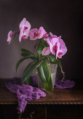 Still life with orchids on the dark brown vintage table