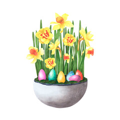 Easter daffodils bouquet in ceramic pot with colored eggs isolated on white. Watercolor hand drawing illustration