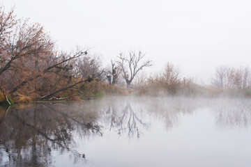Naklejka na ściany i meble The river bank is covered with fog. Reflection of the trees growing on the shore in the water. Autumn landscape.