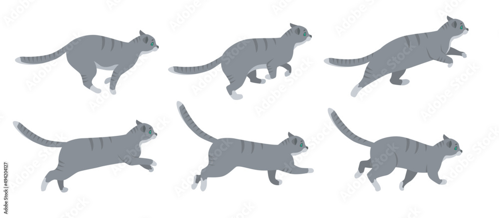 Wall mural cute cat cartoon character running vector illustrations set. animation frames of kitten in action, p