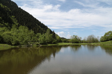 Fototapeta premium magnificent lake view in the forest.ARTVİN.TURKEY