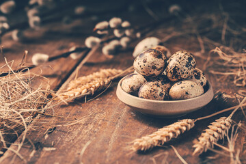 Quail eggs for Easter and blooming pussy willow branches on wooden background