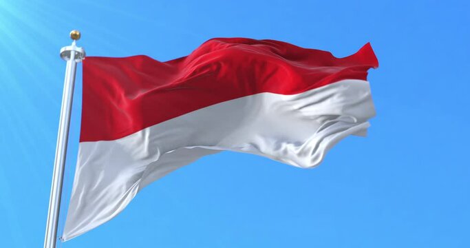 Flag of Patani Kingdom. Loop