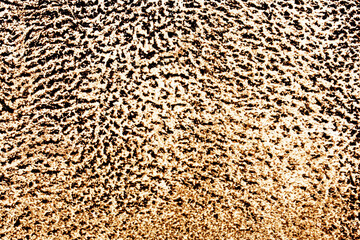 Leopard print background. Animal skin pattern. Abstract jungle texture. African camouflage backdrop.