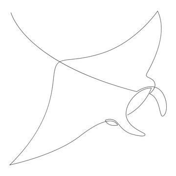 recommend clip art: Manta ray or stingray illustration drawn by one line. Minimalist style vector illustration