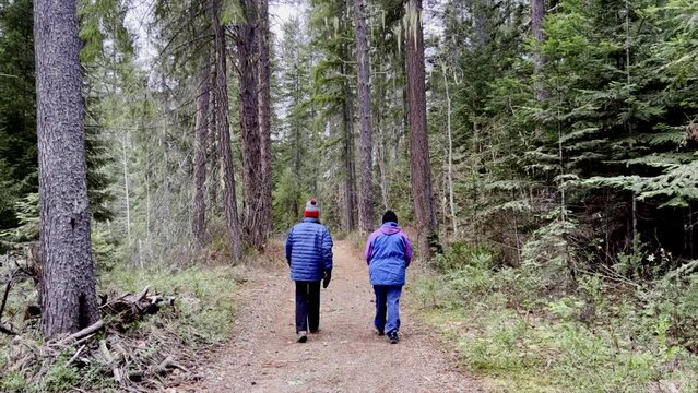 Two women walking on a path through the woods.