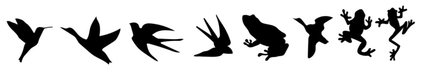 Set of silhouettes of wild animals: hummingbirds, ducks, swallows, frogs without background