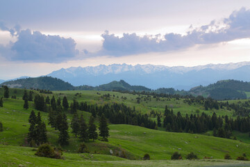 Obraz premium amazing spring landscapes on a sunny day.ARTVİN.TURKEY