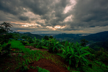 Natural blurred background of fog scattered among trees in the morning, with soft sunlight from the sun, seasonal beauty.