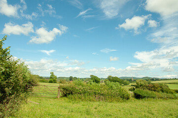 Summertime scenery around Herefordshire, England.