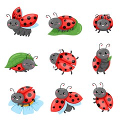 Cartoon ladybug. Funny cute red beetle with polka dots pattern, flying and crawling adorable insect characters, different poses on leaf or flower sitting, happy emotions vector isolated set