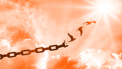 Chain Transform to Birds Flying Away on Heaven Sky with Shiny sun Light and Glowing rays. Hope,...