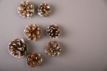cones, cones on a gray background, christmas, decor, mood, simple, wallpaper, greeting card, Christmas decor