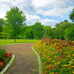 Beautiful meadow with flowers and path in public park.