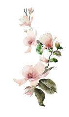 Watercolor arrangements with birds, owl and magnolia blooming branches 