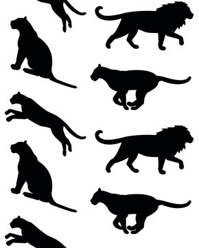 Vector seamless pattern of wild big cats silhouette isolated on white background