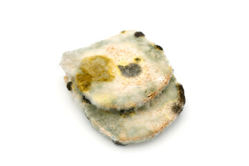 Moldy Spoil Bread isolated on white background