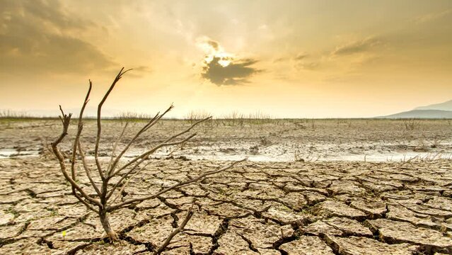 Climate change affect to weather create extreme high temperature on summer. impact of Water crisis and Global warming at Africa.