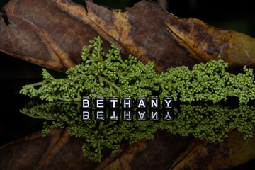 Mote alphabet blocks arranged into the name 