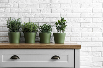 Different aromatic potted herbs on chest of drawers near white brick wall