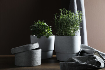 Different aromatic potted herbs on wooden table