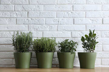 Different aromatic potted herbs on wooden table near white brick wall