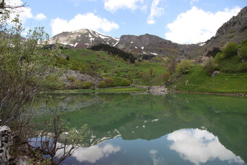 Obraz premium magnificent lake view in the forest.ARTVİN.TURKEY