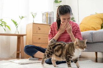 Asian young woman, girl hand in sneezing from fur allergy while playing with her lovely cat, pet on carpet in living room at home, apartment. Health care rhinitis diseases allergic to animal hair. - obrazy, fototapety, plakaty