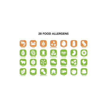 Food allergen icon set on white background