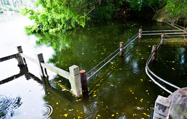 Destroyed bridge on the lake