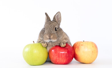 Fototapeta na wymiar Adorable Lovely bunny rabbit with red apples on white background, Animal food concept
