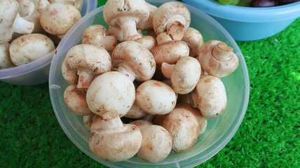 organic Cremini Mushroom in a plastic plate