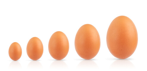 Raw of different size eggs isolated on white background.