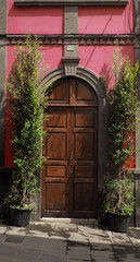 Facade with old door and plants