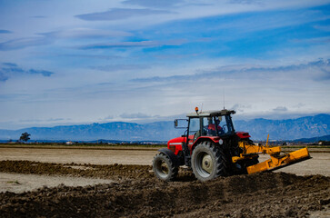 Fototapeta premium Tractor worked the crop field on a sunny summer day