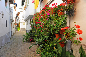 Fototapeta na wymiar Calle con flores y macetas en el barrio judío de Hervás, provincia de Cáceres, Extremadura, España