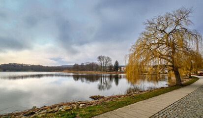 Uferpromenade mit Trauerweide am Schloonsee in Bansin auf Usedom