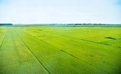 Fototapeta premium High angle view of farmland in China