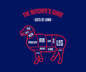 Meat and Beef cuts. Diagrams for butcher shop. Scheme of beef. Vector illustration. Beef butcher's guide. Used for cooking steak and roast - t-bone, rib eye, porterhouse, tomahawk, etc.